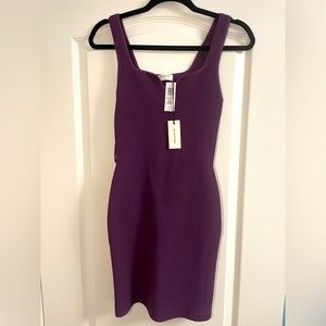 Babaton Knit Dress (new with tags)